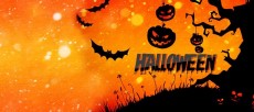 Vì sao bí ngô là biểu tượng của ngày Halloween? Lễ hội Halloween bắt nguồn từ đâu?