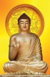 Đức Phật A Di Đà và Ngày Vía Đức Phật A Di Đà Nên Làm Gì