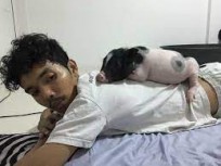 ​Không có bạn gái, trai trẻ nuôi lợn nái ôm ngủ