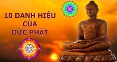 Ý nghĩa 10 danh hiệu của Đức Phật