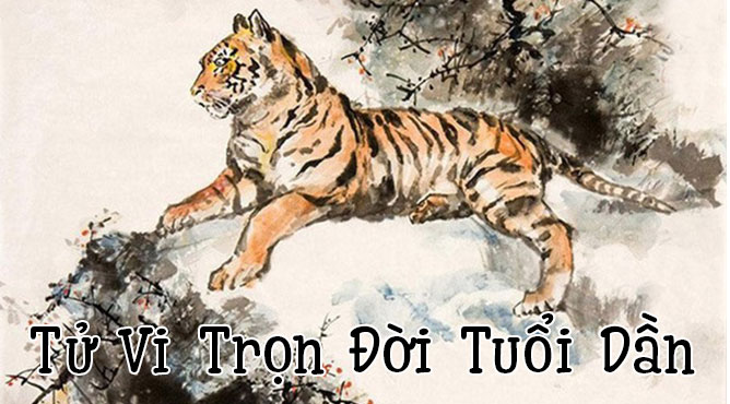 NAM MẠNG NHÂM DẦN 1962 TỪ 64 ĐẾN 80 TUỔI VƯỢT KHÓ SỐNG AN NHÀN