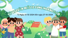 Tử Vi Tuần Mới 12 Cung Hoàng Đạo Từ Ngày 21-10-2024 đến ngày 27-10-2024 