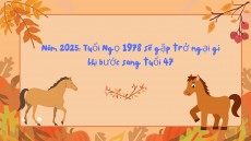 Năm 2025: Tuổi Ngọ 1978 sẽ gặp trở ngại gì khi bước sang tuổi 47