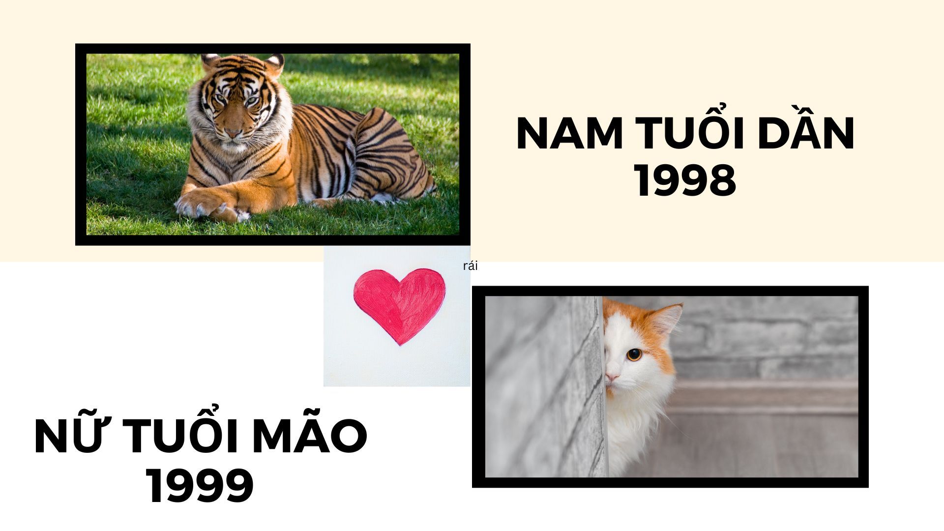 Tình duyên và gia đạo của người tuổi Quý Hợi 1983 trong tử vi hàng ngày