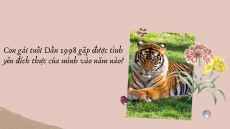 Con gái tuổi Dần 1998 gặp được tình yêu đích thực của mình vào năm nào?