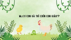 Câu nói mười con gà thì chín con giàu? Người sinh năm con gà nghèo hay giàu?