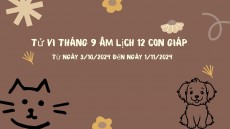 Tử Vi Tháng 9 âm lịch năm 2024 của 12 Con Giáp (Từ ngày 3/10/2024 đến ngày 1/11/2024) 