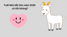 Tuổi Mùi kết hôn năm 2025 có tốt không?