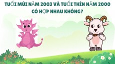 Tuổi Mùi năm 2003 và tuổi Thìn năm 2000 có hợp nhau không?