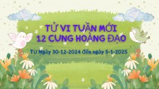 Tử Vi Tuần Mới 12 Cung Hoàng Đạo Từ Ngày 30-12-2024 đến ngày 5-1-2025 