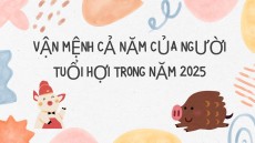 Vận mệnh cả năm của người tuổi Hợi trong năm 2025