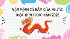 Vận mệnh cả năm của người tuổi Thìn trong năm 2025