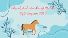 Vận mệnh cả năm của người tuổi Ngọ trong năm 2025