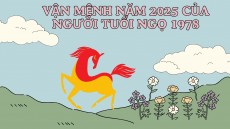 Vận mệnh năm 2025 của người tuổi Ngọ 1978