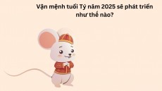 Vận mệnh tuổi Tý năm 2025 sẽ phát triển như thế nào?