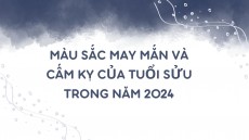 Màu sắc may mắn và cấm kỵ của tuổi Sửu trong năm 2024