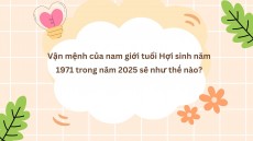 Vận mệnh của nam giới tuổi Hợi sinh năm 1971 trong năm 2025 sẽ như thế nào?