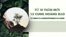 Tử Vi Tuần Mới 12 Cung Hoàng Đạo Từ Ngày 3-2-2025 đến ngày 9-2-2025 