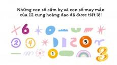 Những con số cấm kỵ và con số may mắn của 12 con giáp đã được tiết lộ! Những con số và năm này thực sự là những điều cấm kỵ lớn nhất về mặt tài chính đối với 12 con giáp.