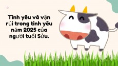 Tình yêu và vận rủi trong tình yêu năm 2025 của người tuổi Sửu.