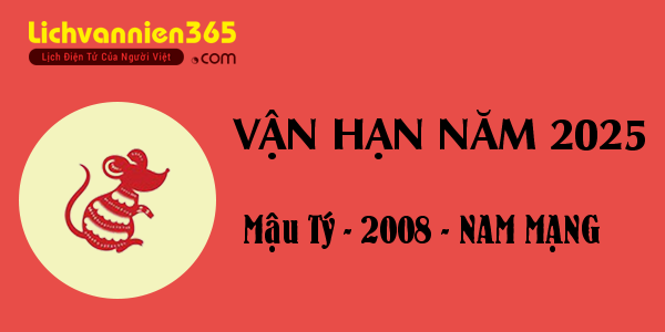 Xem vận hạn năm 2025 cho người tuổi Mậu Tý 2008, nam mạng