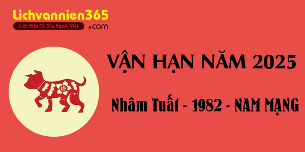 Xem vận hạn năm 2025 cho người tuổi Nhâm Tuất 1982, nam mạng