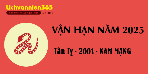 Xem vận hạn năm 2025 cho người tuổi Tân Tỵ 2001, nam mạng