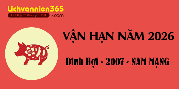 Xem vận hạn năm 2026 cho người tuổi Đinh Hợi 2007, nam mạng