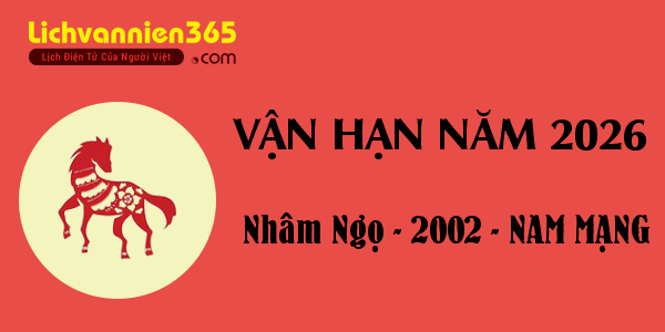 Xem vận hạn năm 2026 cho người tuổi Nhâm Ngọ 2002, nam mạng