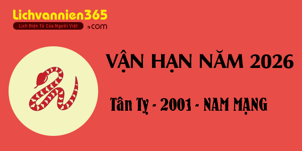 Xem vận hạn năm 2026 cho người tuổi Tân Tỵ 2001, nam mạng